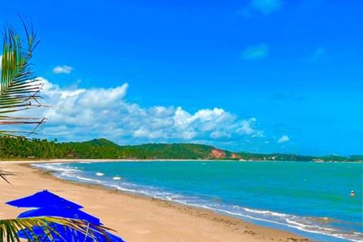 whatsapp image 2025-01-03 at 18.16.32.jpeg