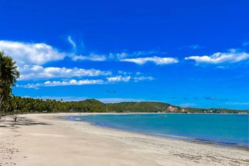 whatsapp image 2025-01-03 at 18.16.30.jpeg