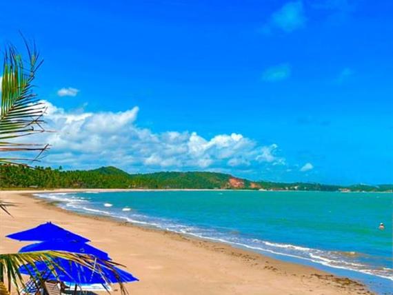 whatsapp image 2025-01-03 at 18.16.32.jpeg