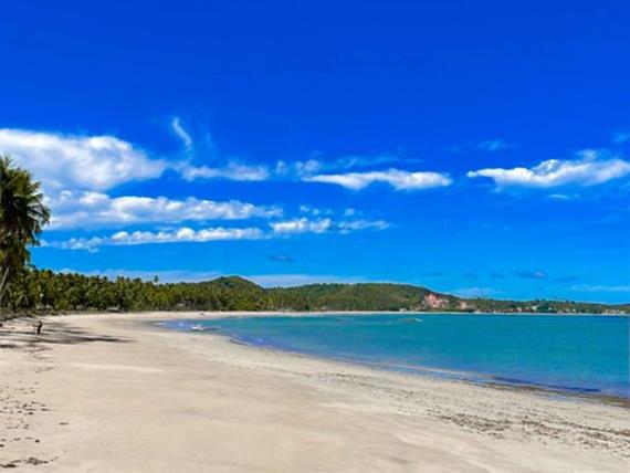 whatsapp image 2025-01-03 at 18.16.30.jpeg