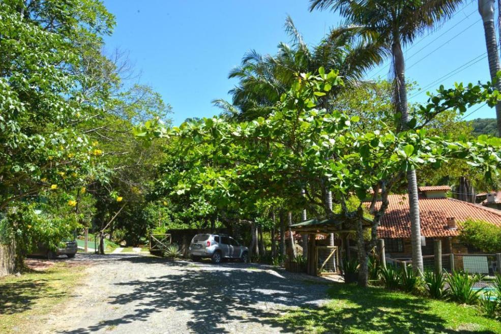 258353439.jpg
