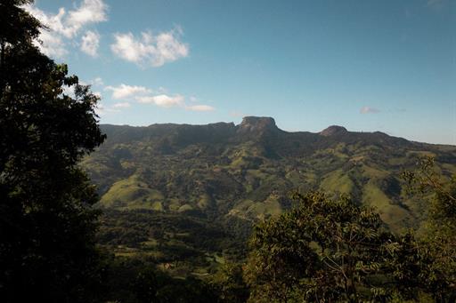 whatsapp image 2024-08-29 at 13.42.13.jpeg