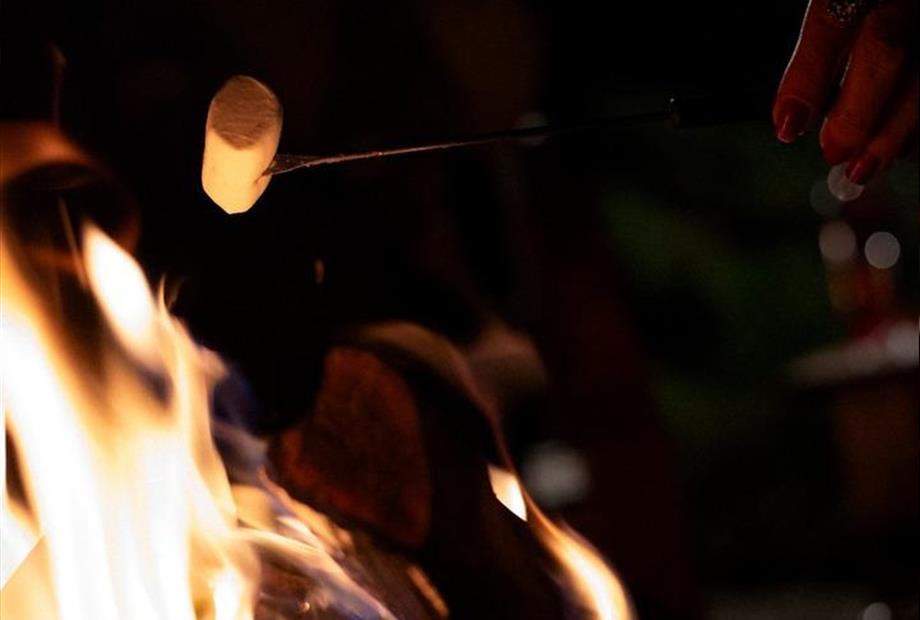 whatsapp image 2024-08-29 at 13.43.49 (2).jpeg