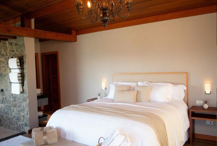 whatsapp image 2024-08-29 at 13.57.51 (44).jpeg