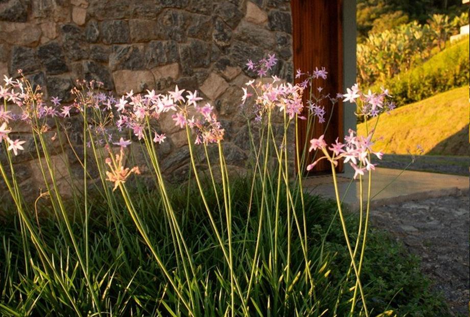 whatsapp image 2024-08-29 at 13.57.51 (23).jpeg