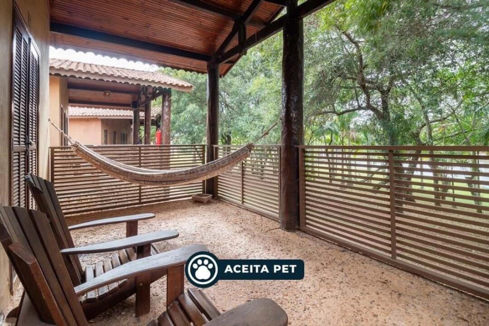 aceita-pet-foto.jpg