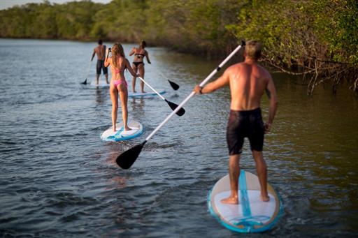 whatsapp image 2024-06-01 at 12.57.14 (19).jpeg