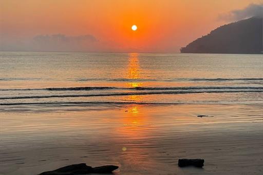 whatsapp image 2024-08-20 at 06.48.00 (1).jpeg