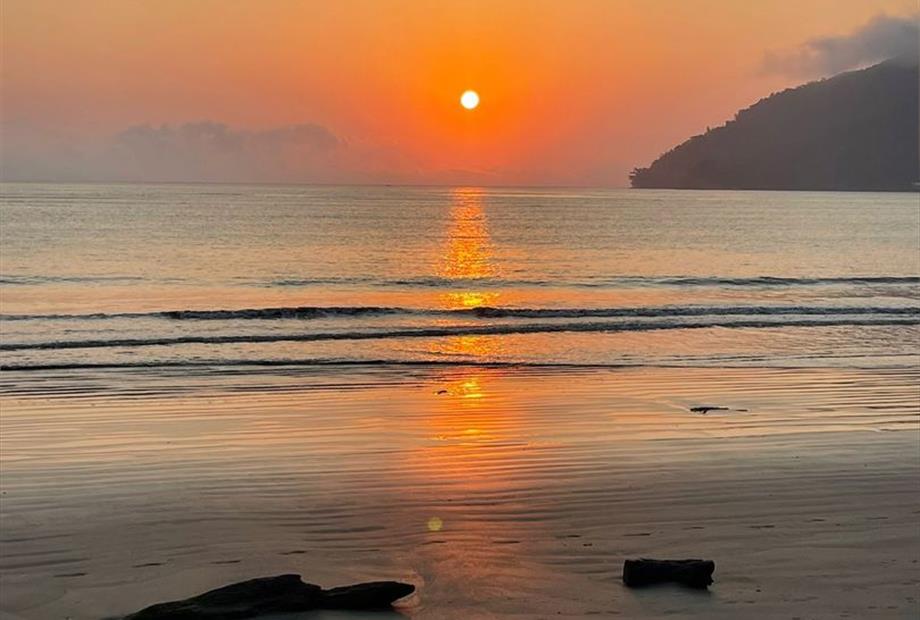 whatsapp image 2024-08-20 at 06.48.00 (1).jpeg