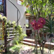 Suíte Jardim Suspenso