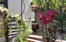 Suíte Jardim Suspenso do Refugio na Serra Boutique Hotel