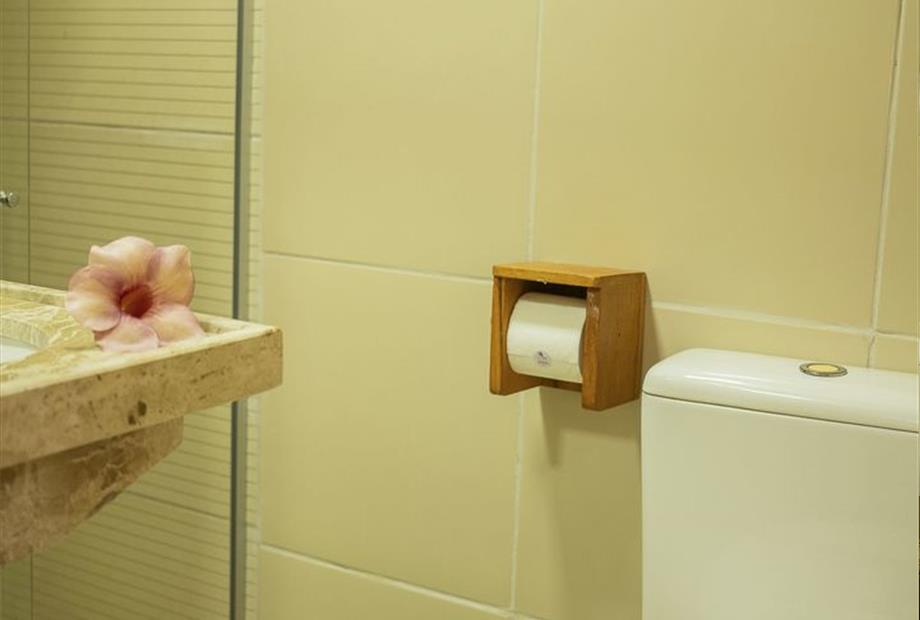 banheiro 208 higienizado e desinfetado.jpg