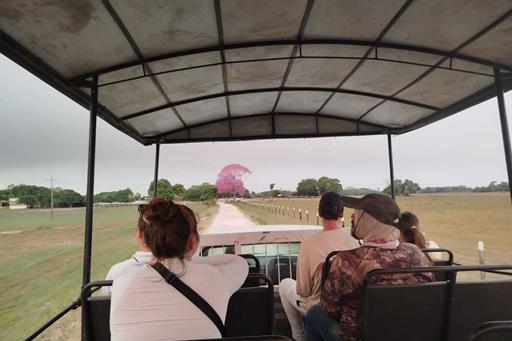 whatsapp image 2024-09-26 at 10.37.51.jpeg