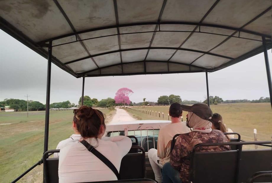 whatsapp image 2024-09-26 at 10.37.51.jpeg