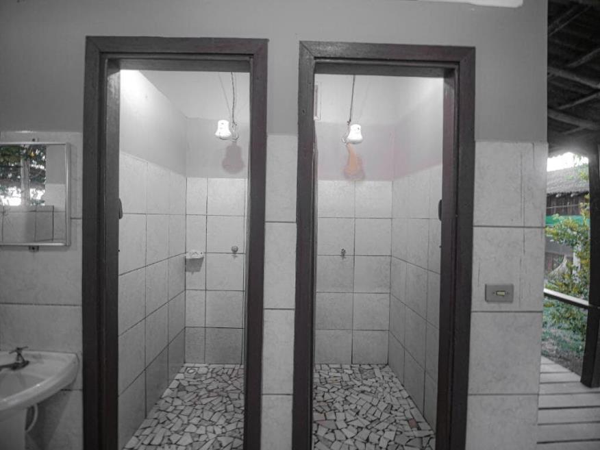 265558115.jpg
