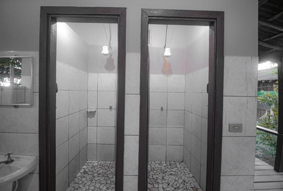 265558115.jpg