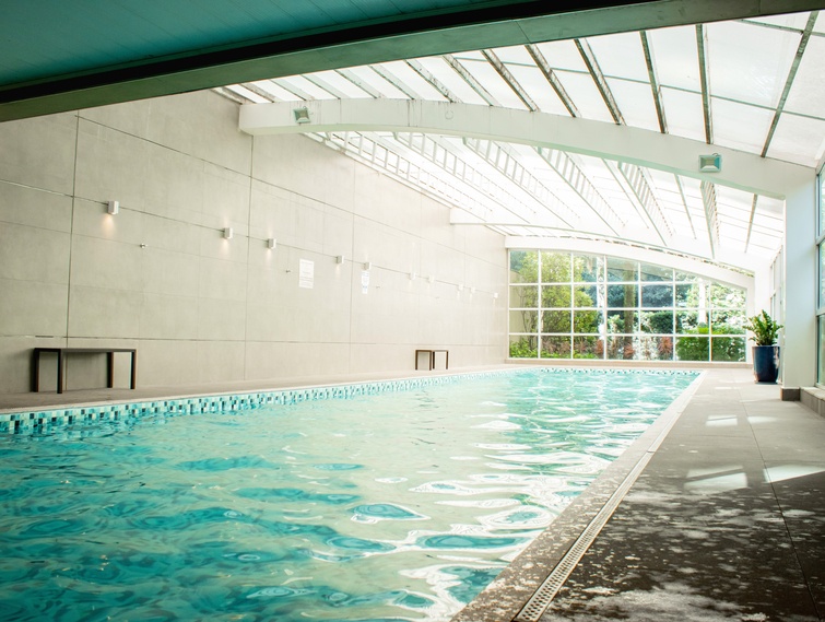 Imagem ilustrativa do hotel Roomo Transamerica SP Bela Cintra