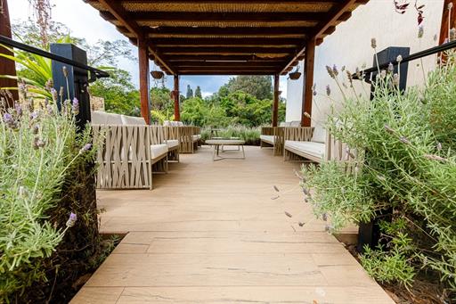 whatsapp image 2025-02-05 at 11.33.28 (1).jpeg