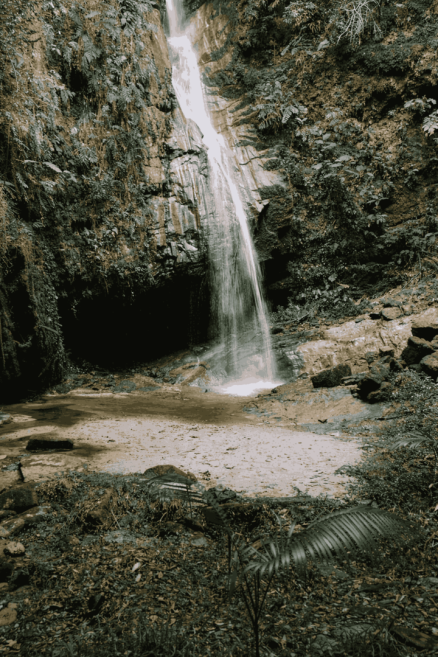 image (4)_11zon.png