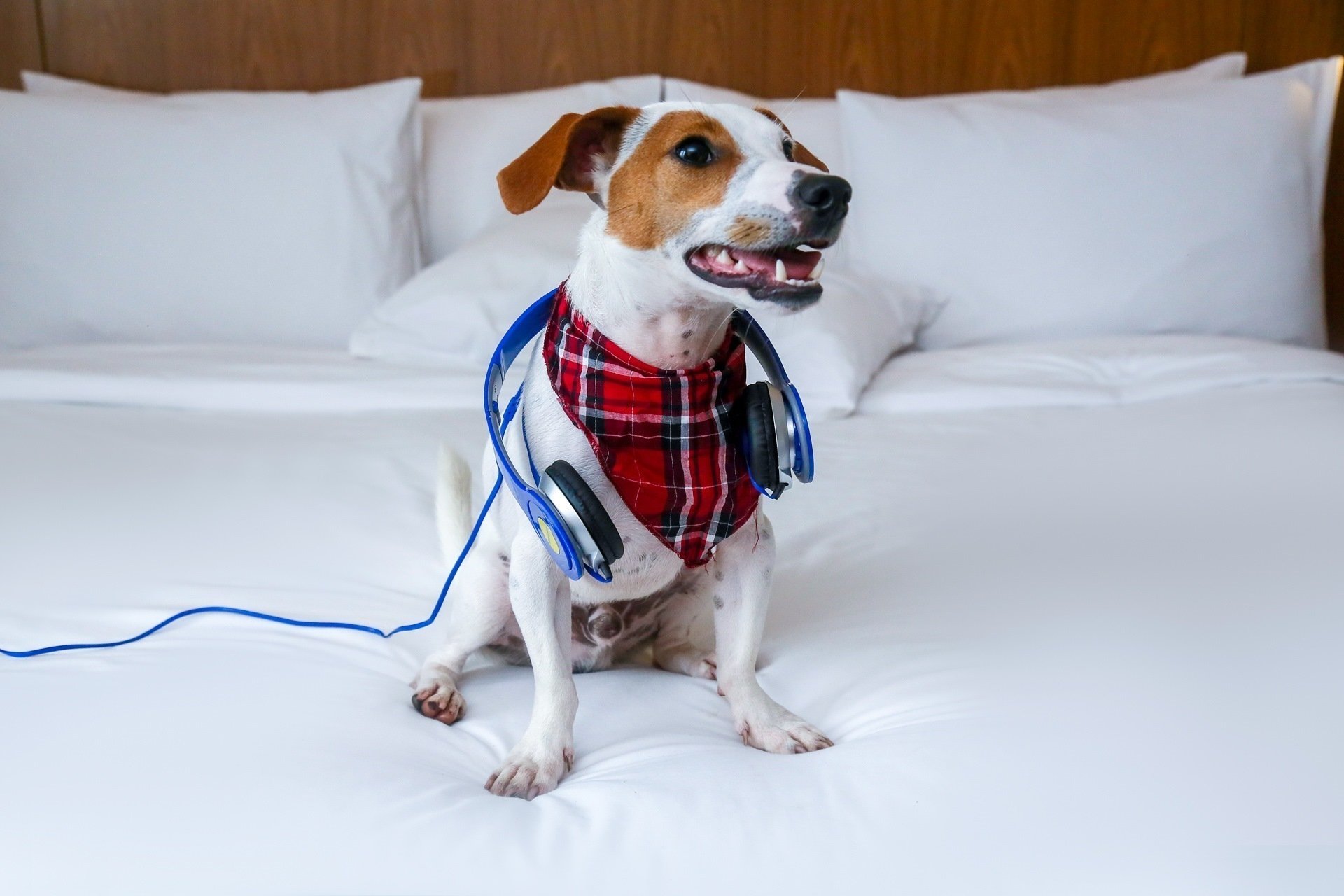 Illustrative image of Radisson Blu São Paulo