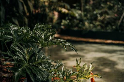 piscina 3 - copia.jpg