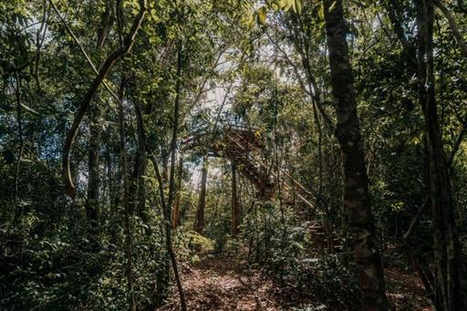 mirante 5 - copia.jpg