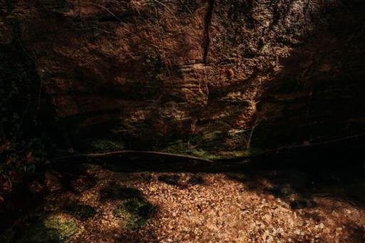 nascente 2 - copia.jpg