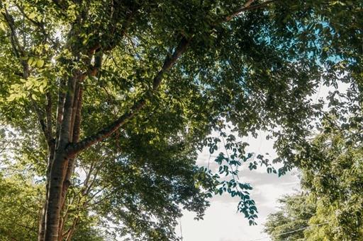 fachada da casa - verde -  vertical - copia.jpg