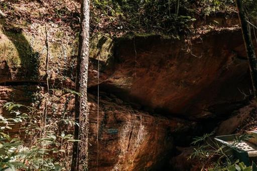 nasciente vertical 2 - copia.jpg