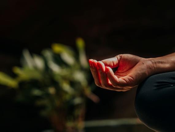 meditação - copia.jpg