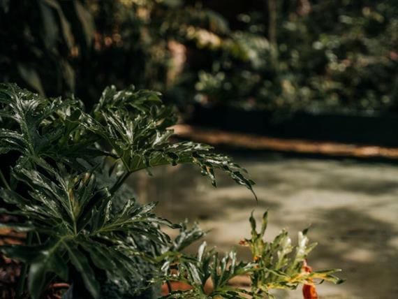 piscina 3 - copia.jpg