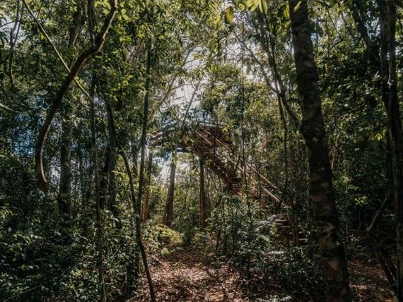 mirante 5 - copia.jpg