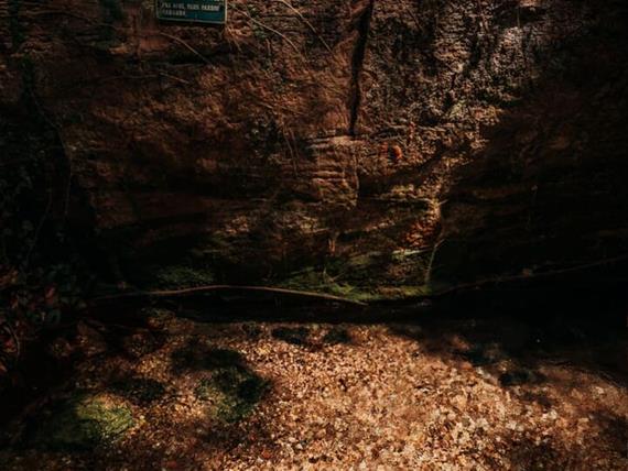 nascente 2 - copia.jpg