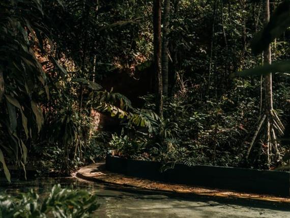 piscina 7 - copia.jpg