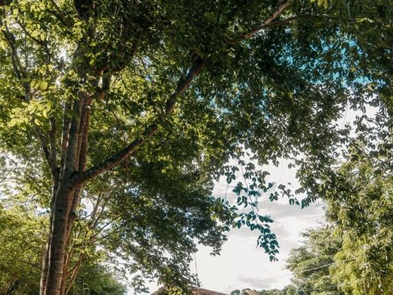 fachada da casa - verde -  vertical - copia.jpg