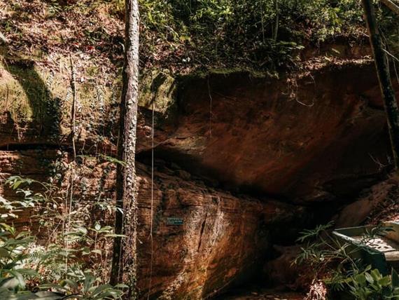 nasciente vertical 2 - copia.jpg