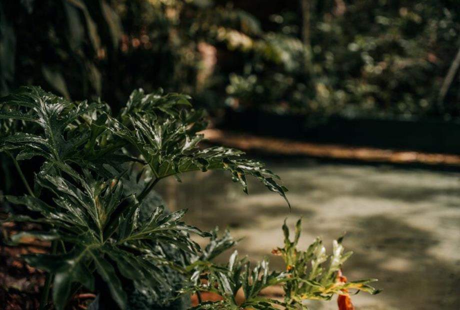 piscina 3 - copia.jpg