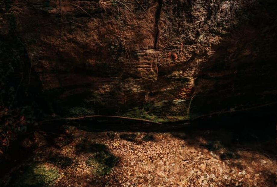 nascente 2 - copia.jpg