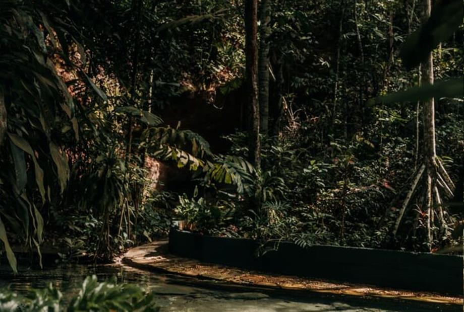 piscina 7 - copia.jpg