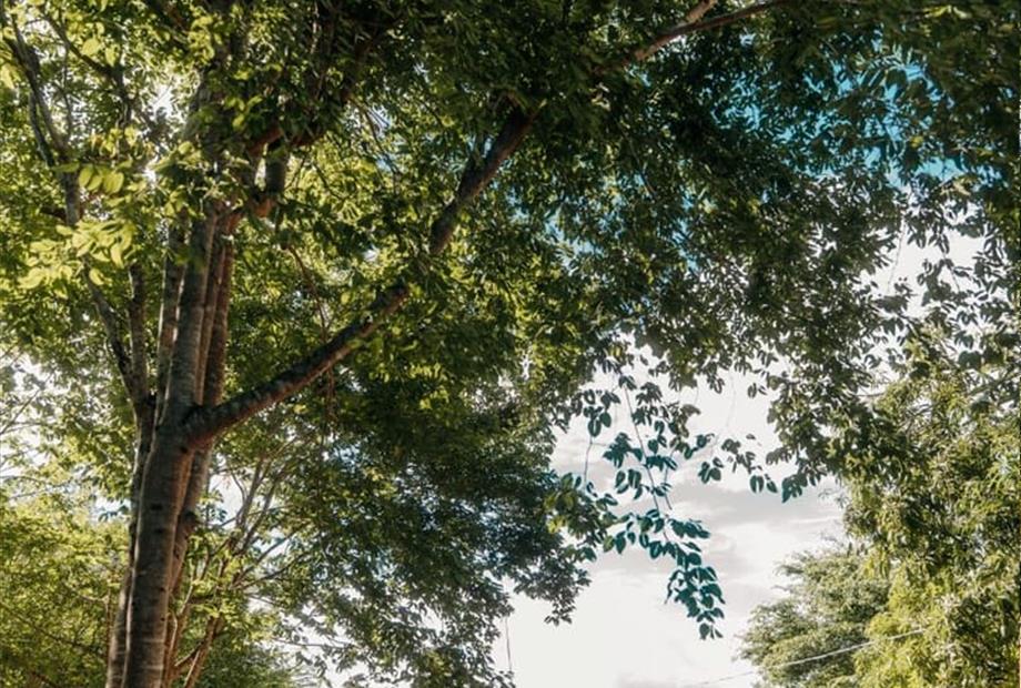 fachada da casa - verde -  vertical - copia.jpg