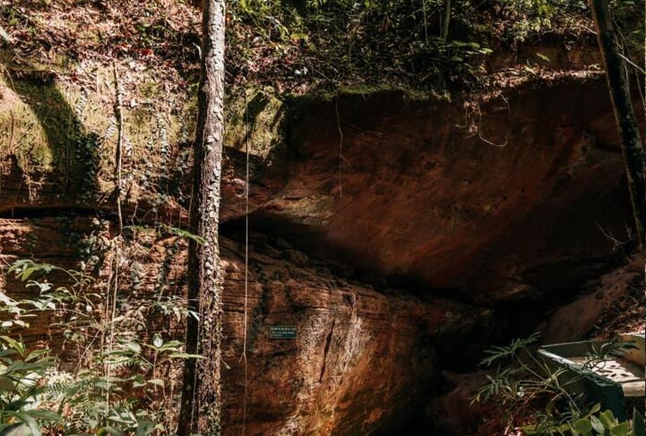 nasciente vertical 2 - copia.jpg