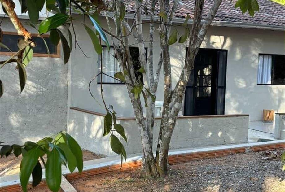 casa da mata j amazonia.jpeg