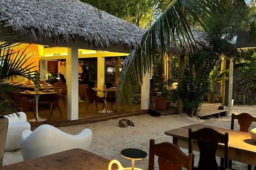 whatsapp image 2024-07-24 at 09.22.55 (1).jpeg