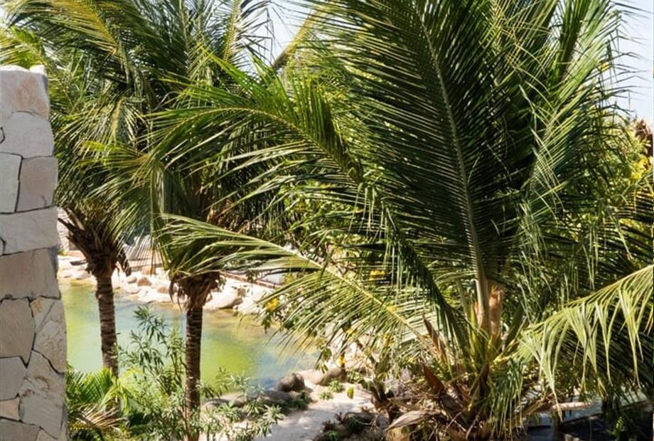 whatsapp image 2025-07-24 at 09.18.13.jpeg