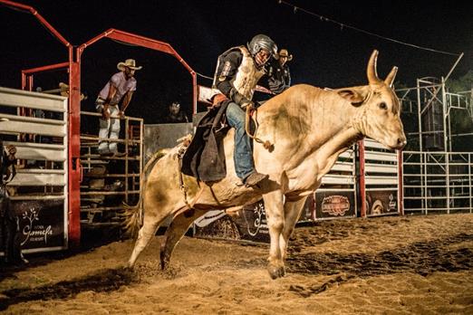 whatsapp image 2024-07-19 at 14.22.17.jpeg