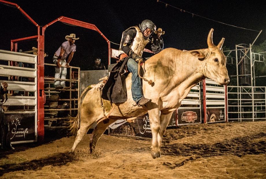 whatsapp image 2024-07-19 at 14.22.17.jpeg