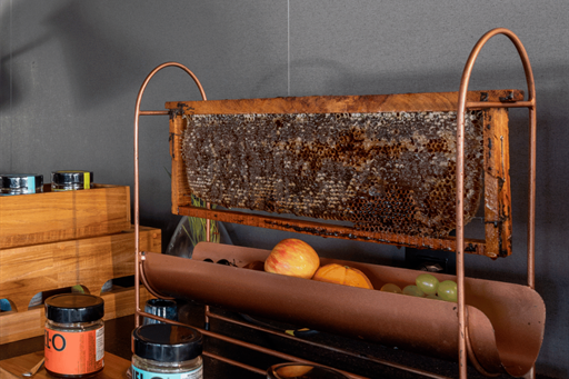 design sem nome - 2024-08-12t095257.380.png