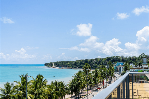 design sem nome (19).png