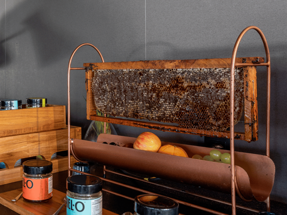 design sem nome - 2024-08-12t095257.380.png