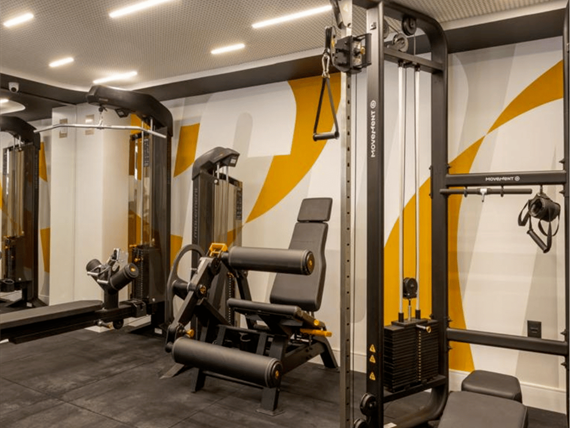 design sem nome - 2024-08-12t100356.756.png